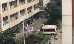 广西师大爆料新闻事件最新,惊曝校园内幕，真相背后引关注